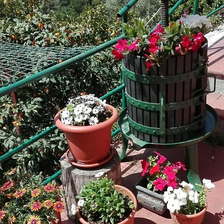 Casa Ofelia Ferienhaus Levanto