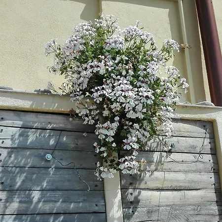 Ferienhaus Casa Ofelia