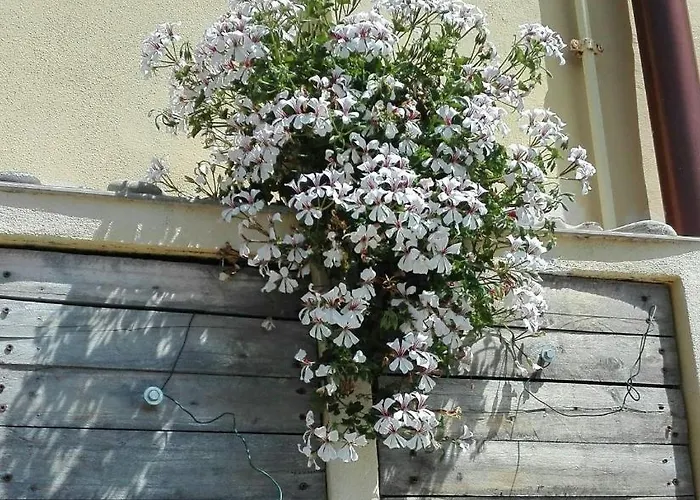 Σπίτι διακοπών Casa Ofelia