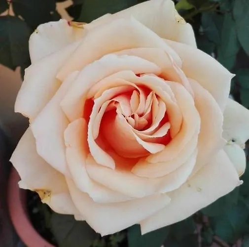 Σπίτι διακοπών Casa Ofelia